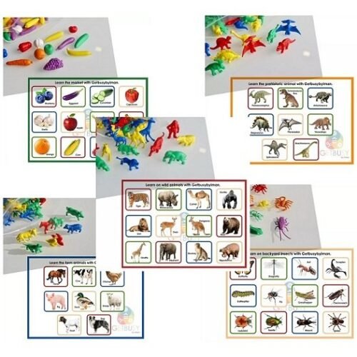 Educational-Counters.jpg Educational Counters